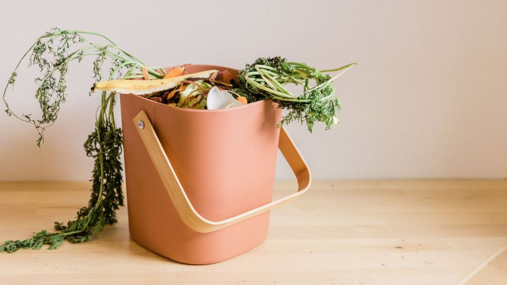 Come ridurre gli sprechi alimentari: 7 idee utili per&nbsp;fuorisede